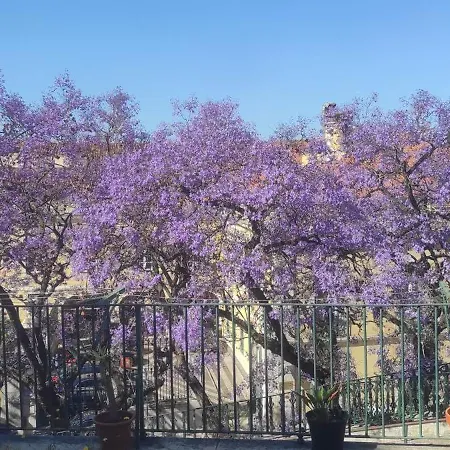 شقة Hugo's Panoramic Duplex